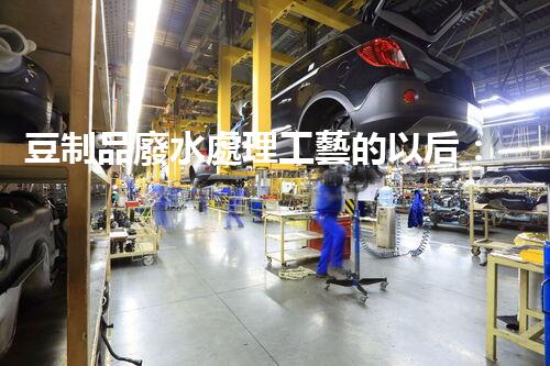 豆制品廢水處理工藝的以后：挑戰(zhàn)與突破？